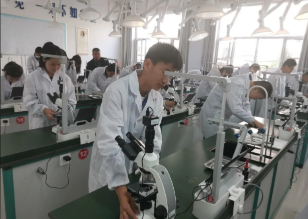 教育的应然关联实然疏离构成了当前教育改革的核心张力