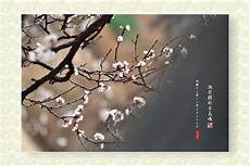 旭日东升的意思旭日东升的意思,客厅装饰画国画推荐这几款总有你的“菜”