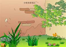 小壁虎借尾巴ppt