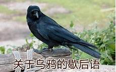 300个中学语文最常用的成语